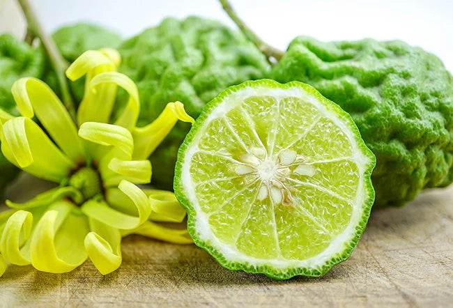 DISCOVER THE MAGIC OF BERGAMOT: A LUXURIOUS SCENT FOR YOUR HOME